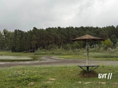 Озеро Лісне поблизу Володимира майже без води