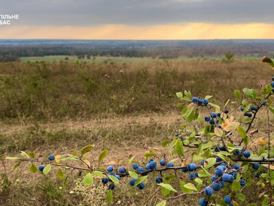 У неділю дощитиме у більшості областей України