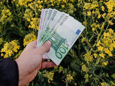 До 3 тисяч євро виплати: із 27 вересня Мінсоцполітики запускає нову допомогу — PMG.ua