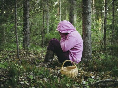 Грибний сезон у розпалі: як не заблукати під час «тихого полювання»