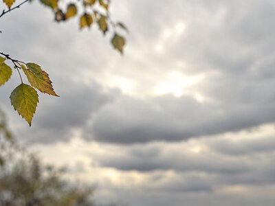 Хмарно й до +16°: синоптики дали прогноз для Києва та області на цю неділю