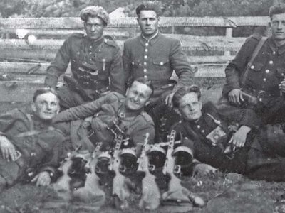 Бойовий шлях командира УПА Порфирія Антонюка (Сосенка): Між трьома ворогами