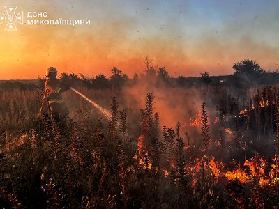 Вогонь загрожував будинкам: на Миколаївщині за добу загасили 21 пожежу