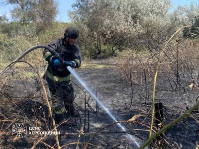 Три пожежі на 0,5 гектара гасили рятувальники Херсонщини