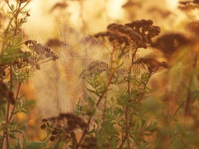Похолодання накриє майже всю Україну: де 13 вересня пройдуть сильні дощі