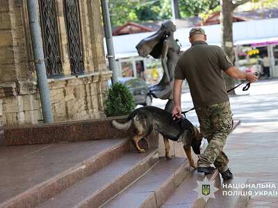 Перевірки, 36 порушень та розшук неповнолітньої: як пройшов День міста у Миколаєві