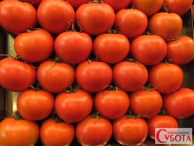 Не БАД і не «чарівний» продукт: чому чоловікам після 45 варто частіше їсти помідори