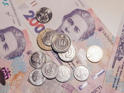 НБУ закликає українців збирати монети на підтримку постраждалих від війни тварин