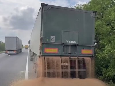 На Миколаївщині водій висипав зерно на дорогу, тікаючи від штрафу