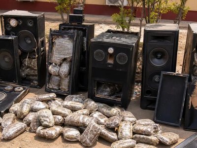 У Нігерії NDLEA повідомило про вилучення канабісу та інших наркотиків у семи штатах