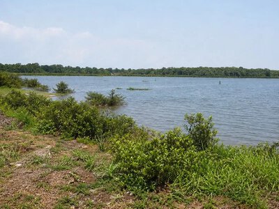 У Гані доручили відновити екосистему лагуни Кпеші