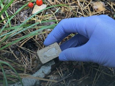 «Не чіпайте руками та тримайте собак»: у столиці стартувала масова вакцинація диких тварин від сказу