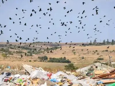 У Миколаєві сміття майже в чотири рази дорожче, ніж в Одесі
