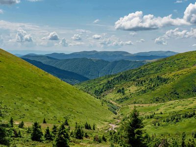 До +24°: якою буде погода на Закарпатті 14 вересня