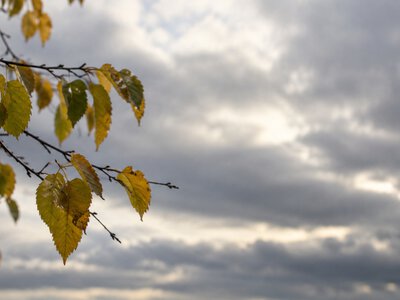 «Негода омине столицю»: у Києві та області очікується похолодання без опадів