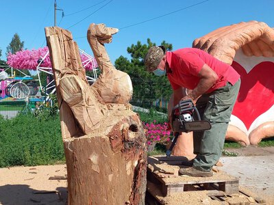 У Вінниці різьбярі створили скульптури з дерева, які прикрасять місто