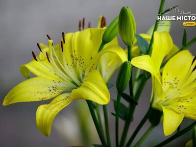 14 вересня: церковне свято Воздвиження Хреста та народні прикмети