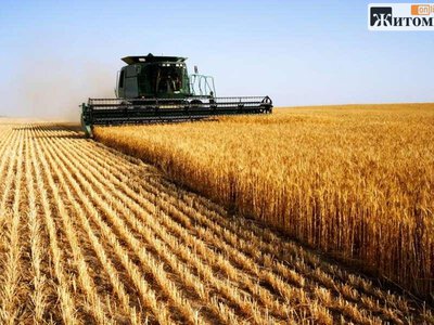 У Житомирській області завершено збір ранніх зернових та зернобобових культур