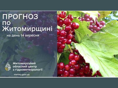 Погода сьогодні на Житомирщині: тепло і без дощів