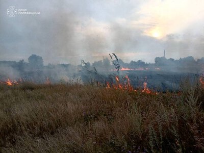У Кременчуцькому районі горів сухостій