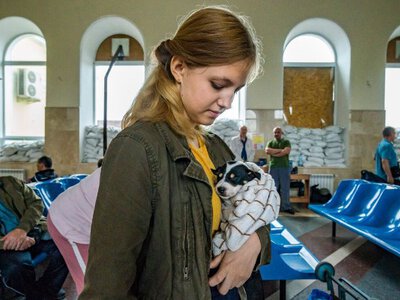 Як живуть ВПО, які втратили дім і починають життя з нуля
