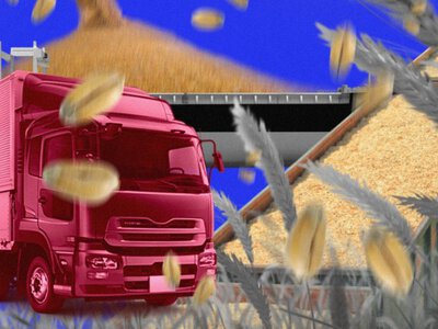 Ціна українського зерна тане в дорозі: скільки забирає логістика
