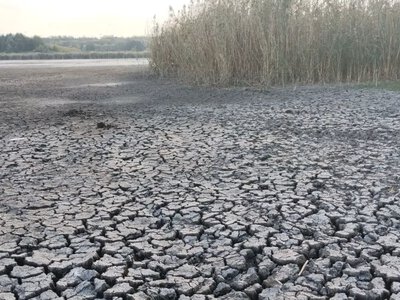 Посухи, зміни погоди, стан водойм: волинян просять розповісти про кліматичні зміни