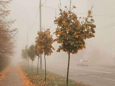 Сьогодні на Рівненщині прогнозують до 22 градусів тепла