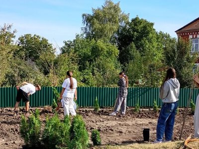 У Мирогощанській громаді студенти-аграрії долучилися до створення Алеї Слави
