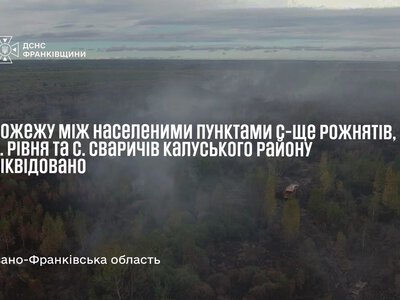 На Прикарпатті рятувальники ліквідували пожежу на площі близько 6 гектарів
