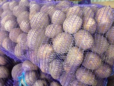 Цьогорічного врожаю картоплі цілком достатньо для внутрішніх потреб України, - Мінагрополітики