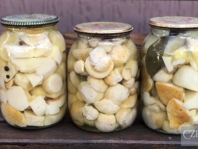 Класичний рецепт маринованих грибів на зиму у сезон тихого полювання у Чехії