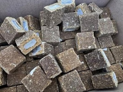 На Рівненщині розпочалася осіння кампанія з вакцинації диких тварин проти сказу