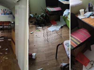 Прилуцька підприємиця показала свій офіс після атаки на місто