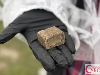 Побачили в лісі коричневий брикет — не чіпайте: на Житомирщині розкладатимуть вакцину від сказу