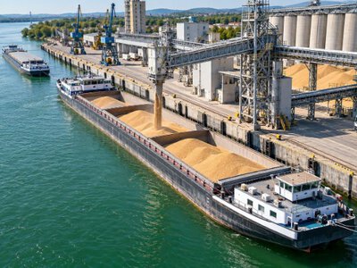 Логістика з'їдає ціну: скільки втрачає українське зерно дорогою до покупця