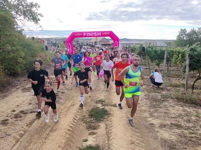 На виноградниках Закарпаття відбувся дев’ятий Wine Run
