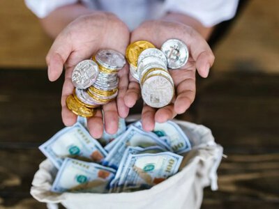 Цифрова муха заробила перший долар на торгівлі біткоїном