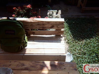Родини з Житомирщини подали заяви після інцидентів із дітьми в закордонному таборі: поліція проводить перевірку
