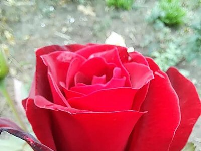 Синоптики розповіли, якою буде погода у Миколаєві та області 16 вересня