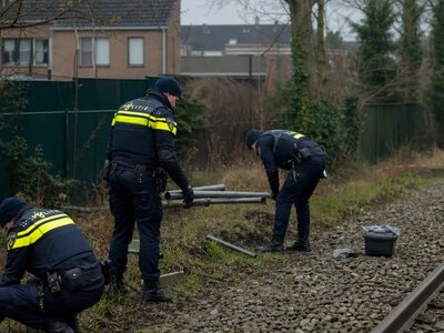 У Нідерландах через підозру в саботажі скасували та затримали поїзди