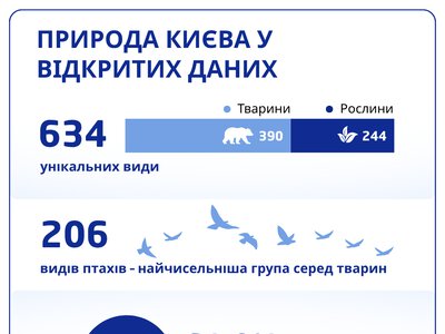 Київ дбає про природу: 41% ссавців столиці – кажани