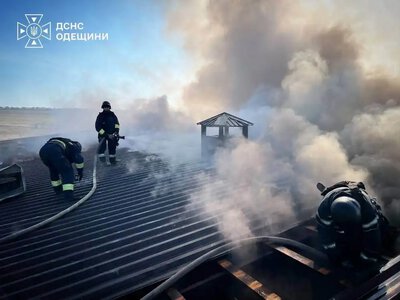 Росія атакувала птахоферму на Одещині: частина свійської птиці загинула (фото)