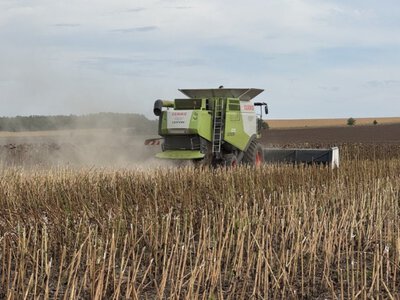 Збір соняшнику на Кіровоградщині: план на 200 га