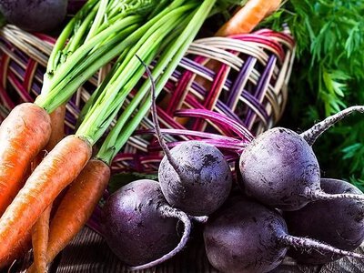 Ціни на багато продуктів у Харкові впали, але подорожчала медицина: статистика