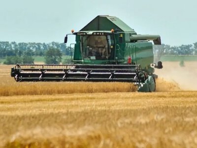 Українські аграрії обмолотили майже 60% прогнозованих площ зернових: де найвища урожайність
