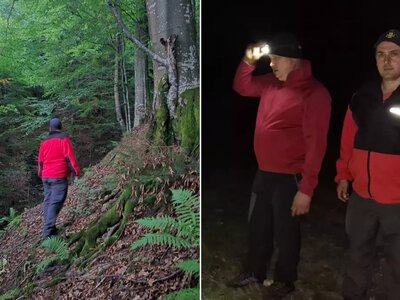 На Рахівщині тривають пошуки 71-річного грибника, який зник у лісі