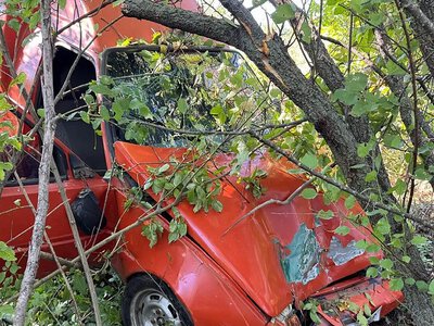 На трасі на Миколаївщині «Пікап» врізався в дерево: постраждали дві жінки