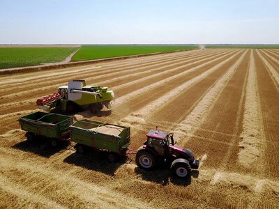 Аграрії обмолотили 59% прогнозованих площ зернових культур