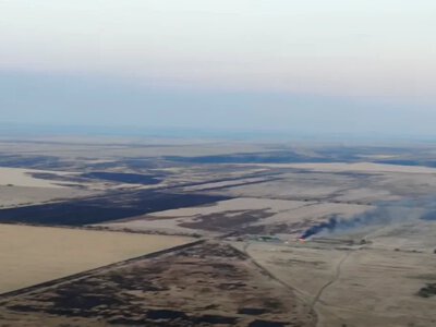 Аграріям Херсонщини планують компенсувати 10 460 гривень за гектар знищених посівів